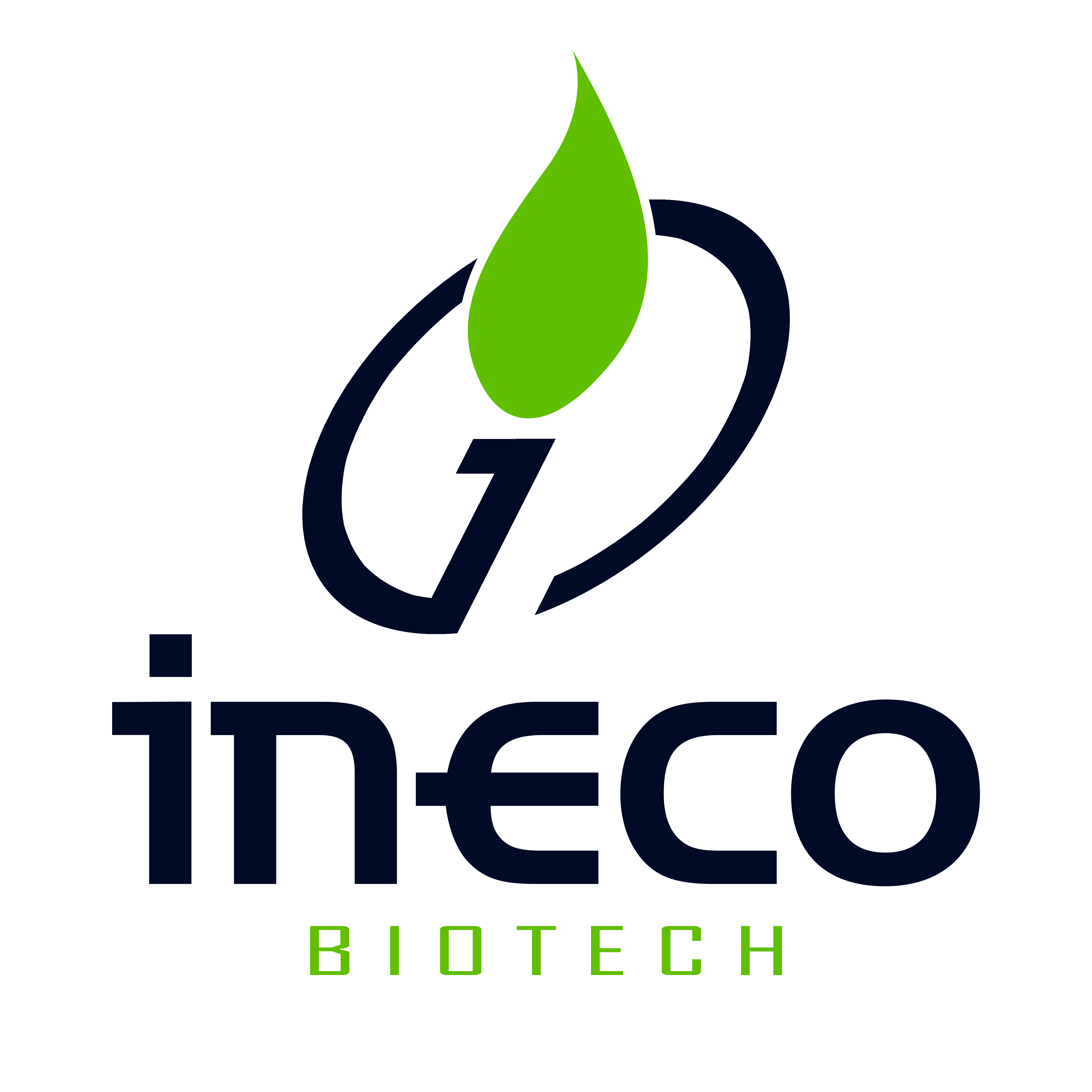 INECO LOGO DEF PNG