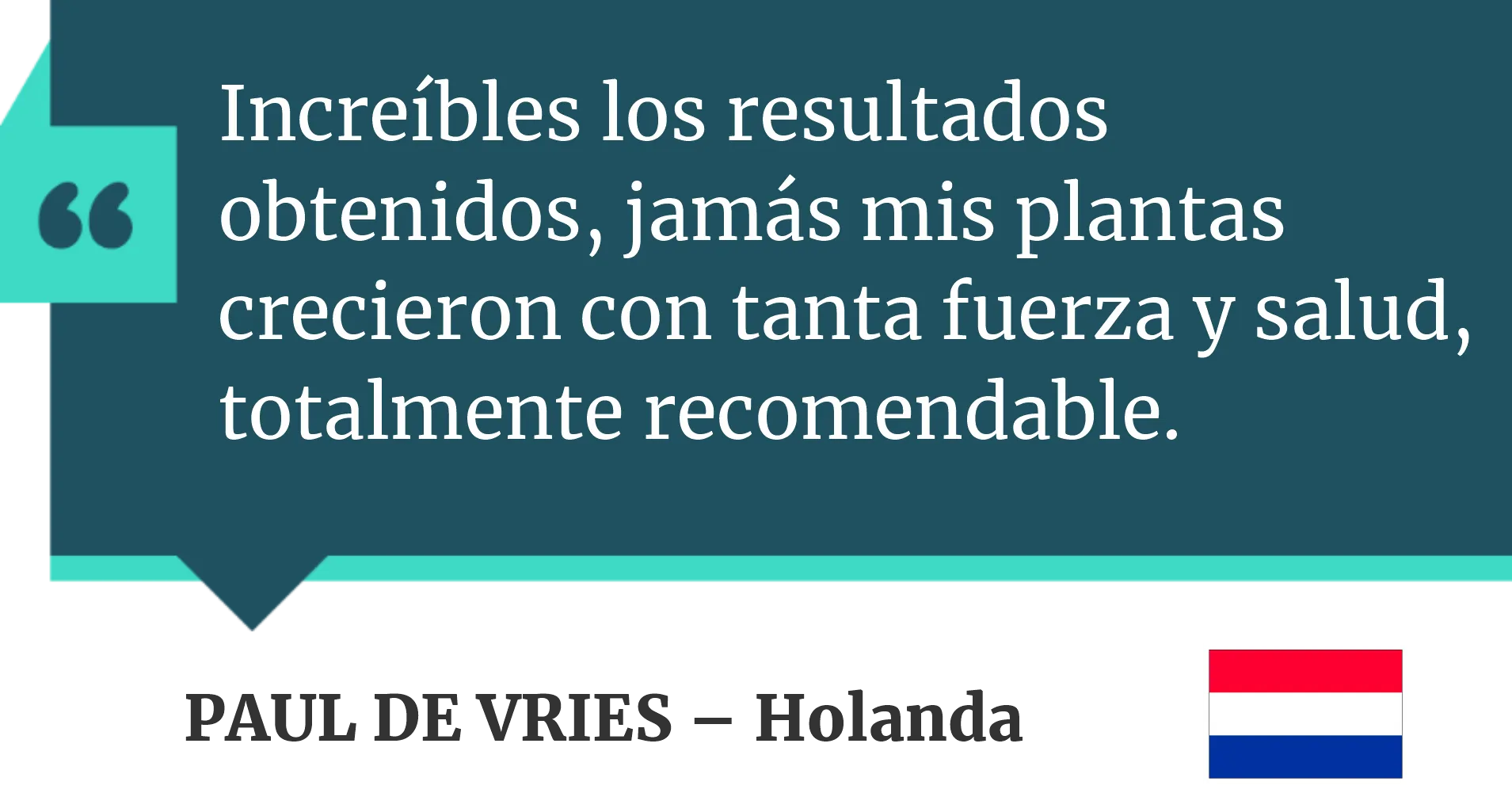 comentario 1