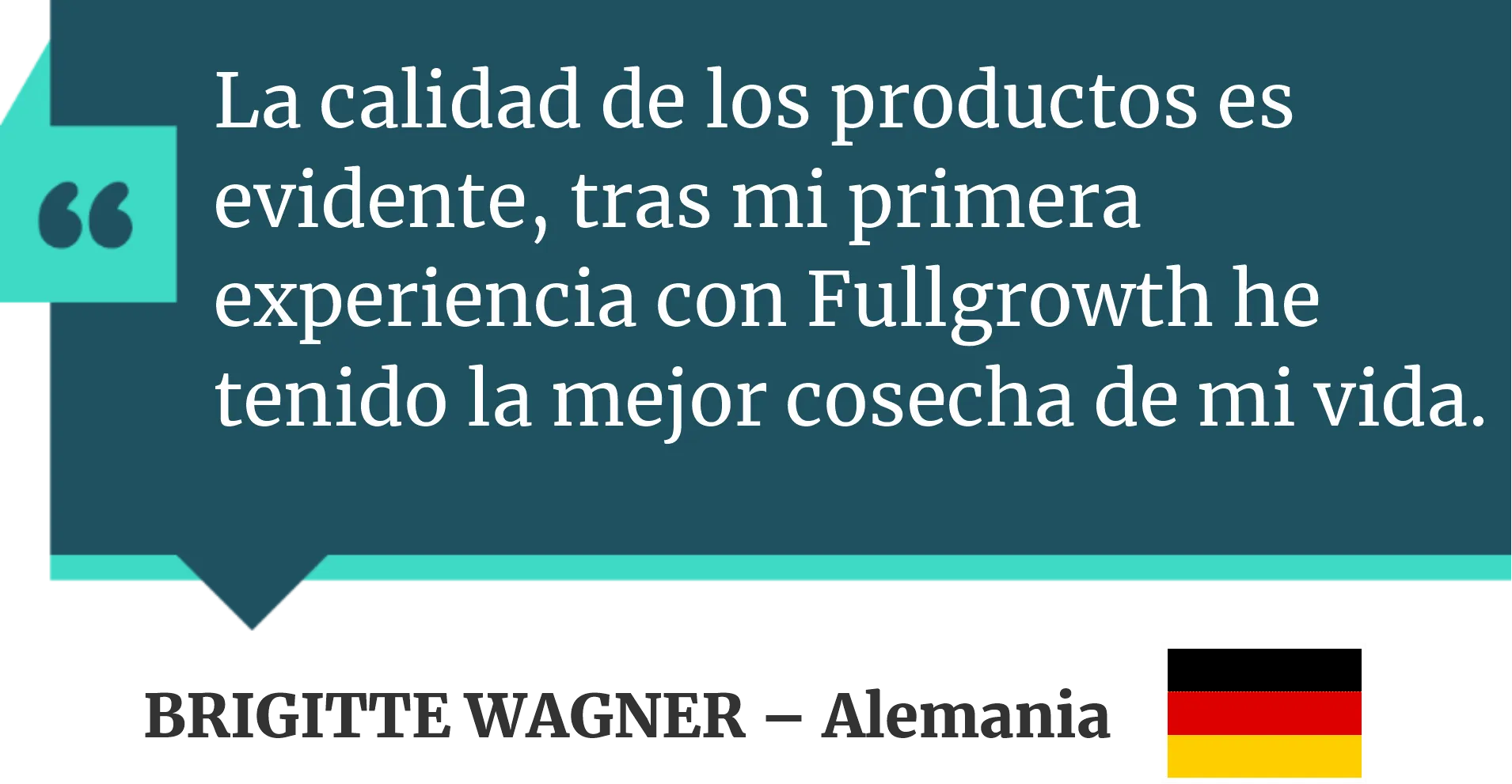 comentario 3