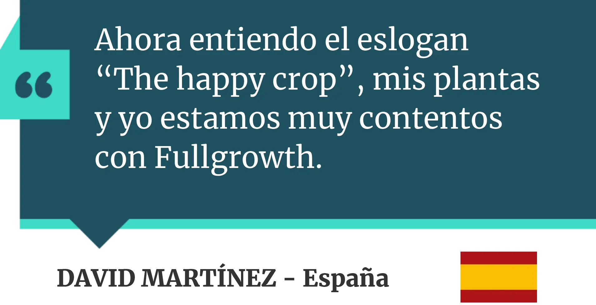 comentario 4