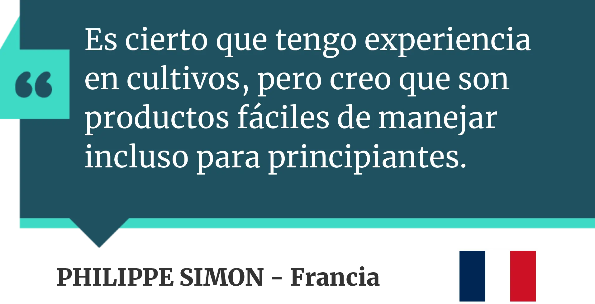 comentario 6